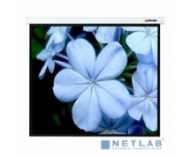 Экран настенный 229 x 305 см Master Picture LMP-100112 4:3 настенно-потолочный рулонный